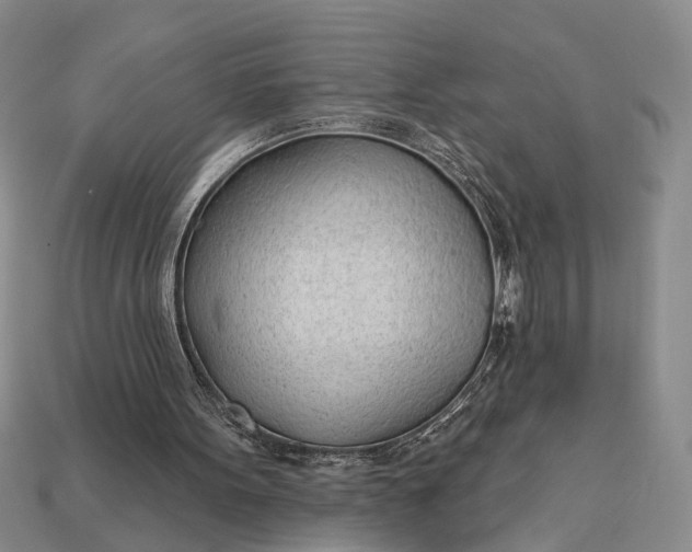 X0000112980099200909101722