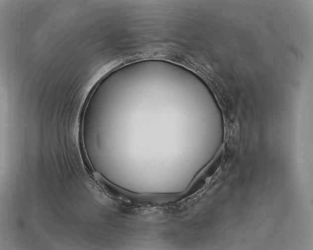 X0000112980100200909101722