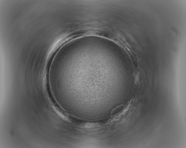 X0000112980101200909101722