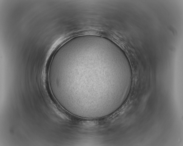 X0000112980102200909101722