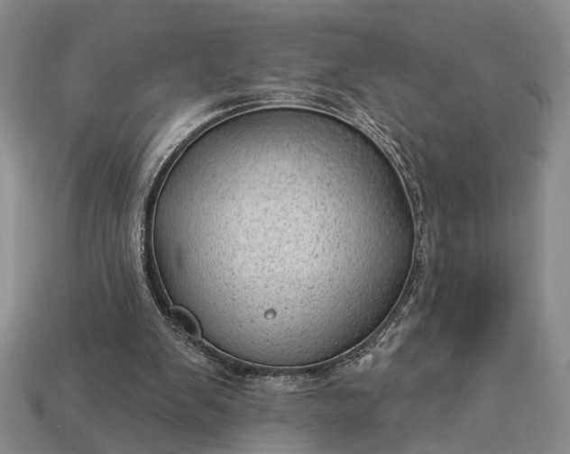 X0000112980103200909101722