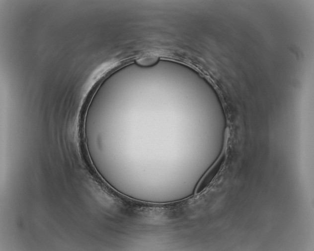 X0000112980104200909101722