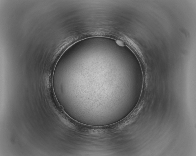 X0000112980105200909101722