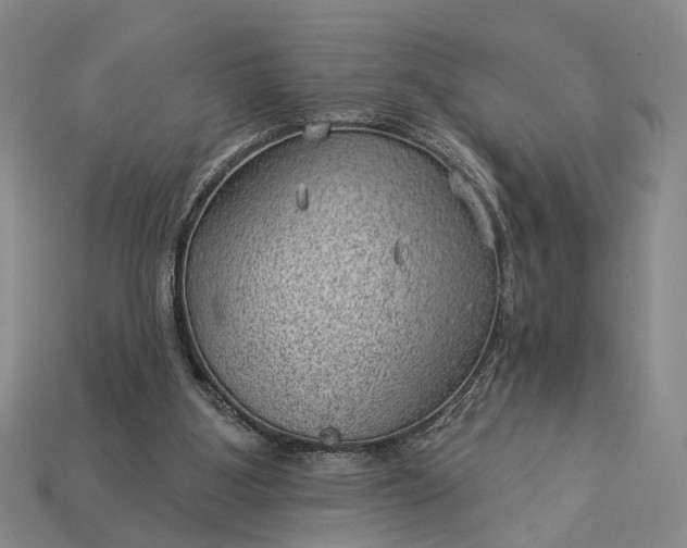 X0000112980107200909101722