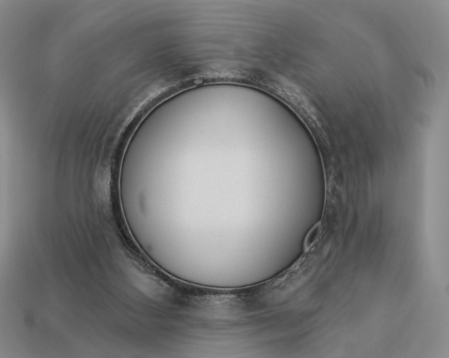 X0000112980108200909101722