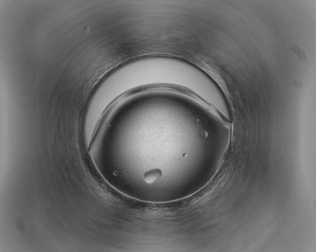 X0000112980109200909101722