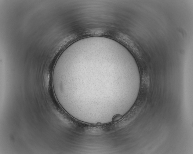 X0000112980110200909101722