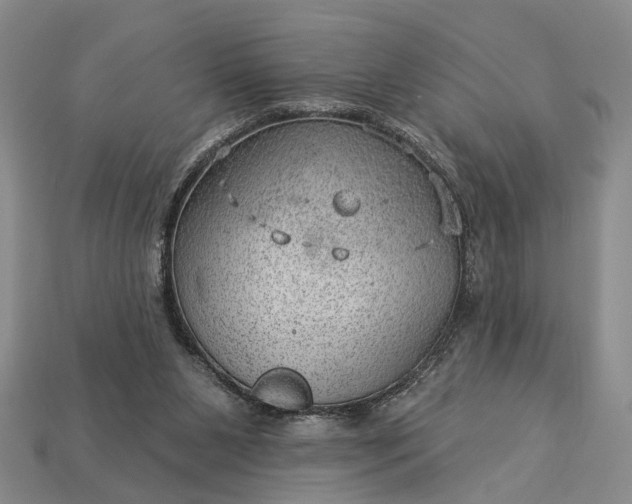 X0000112980111200909101722