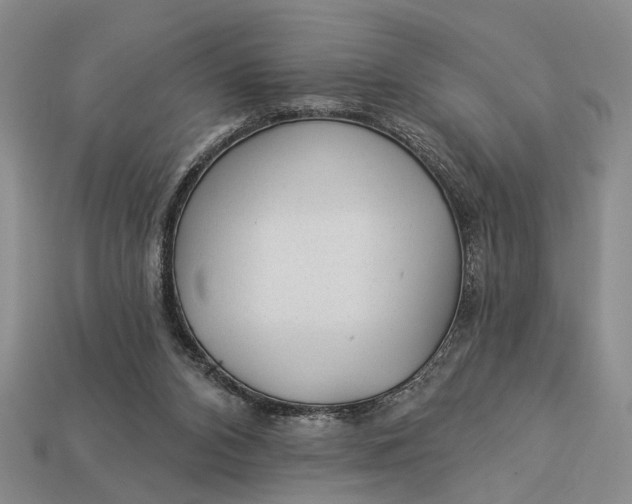 X0000112980112200909101722