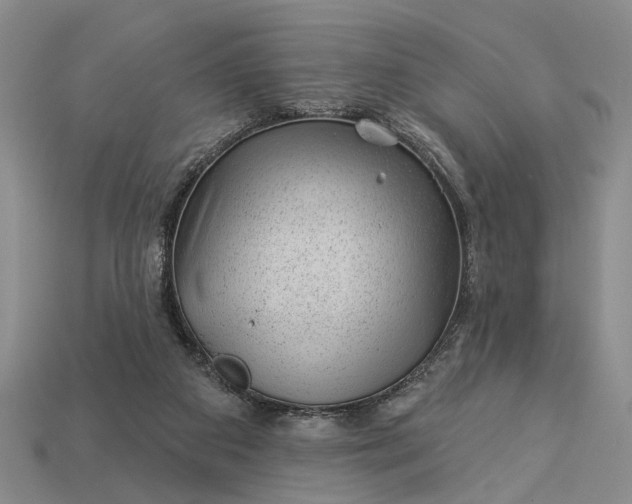 X0000112980113200909101722