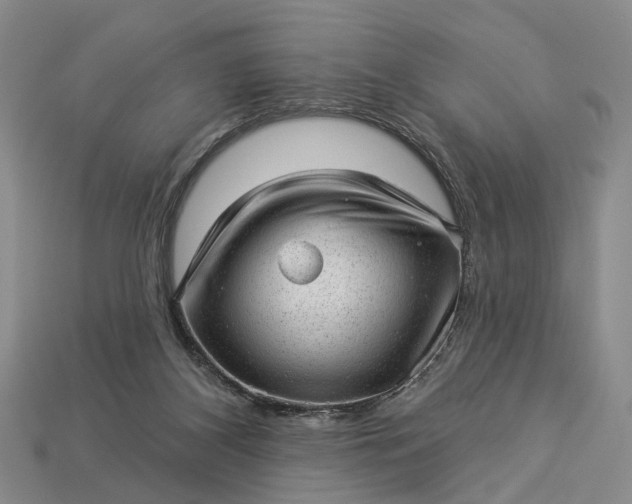 X0000112980116200909101722