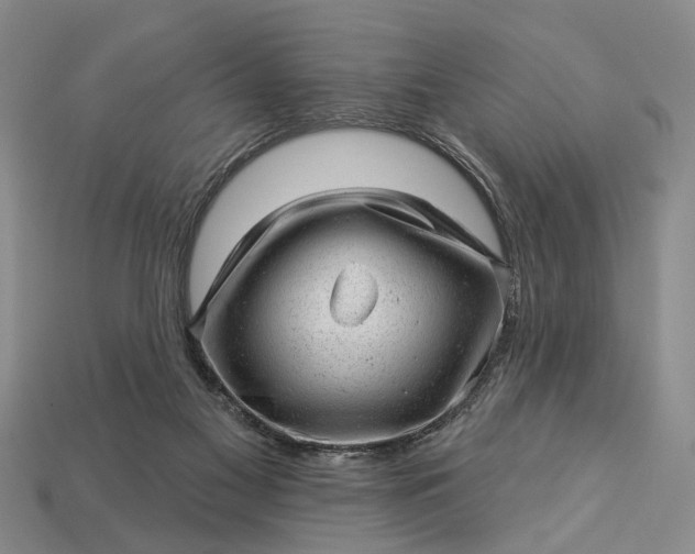 X0000112980117200909101722