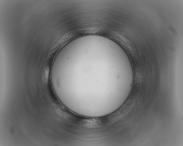 X0000112980118200909101722