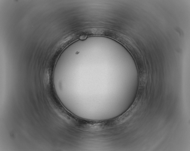 X0000112980120200909101722