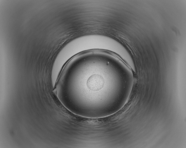 X0000112980121200909101722