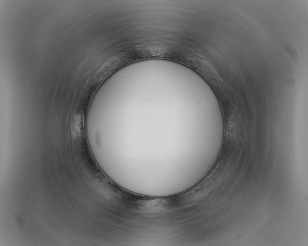 X0000112980122200909101722