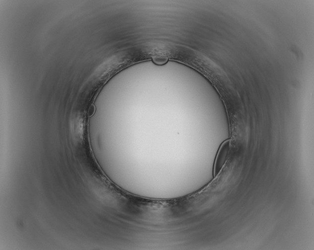 X0000112980124200909101722