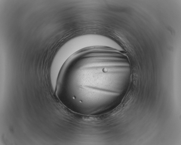 X0000112980125200909101722