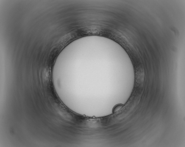 X0000112980126200909101722