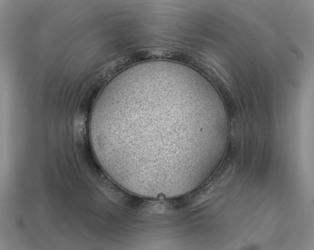 X0000112980127200909101722