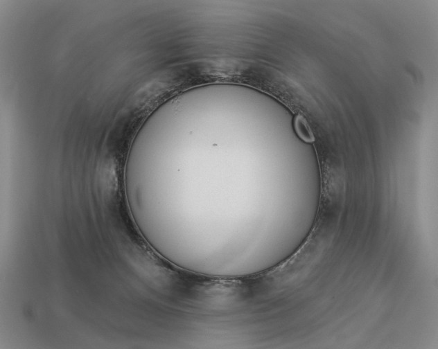 X0000112980128200909101722