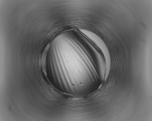 X0000112980129200909101722