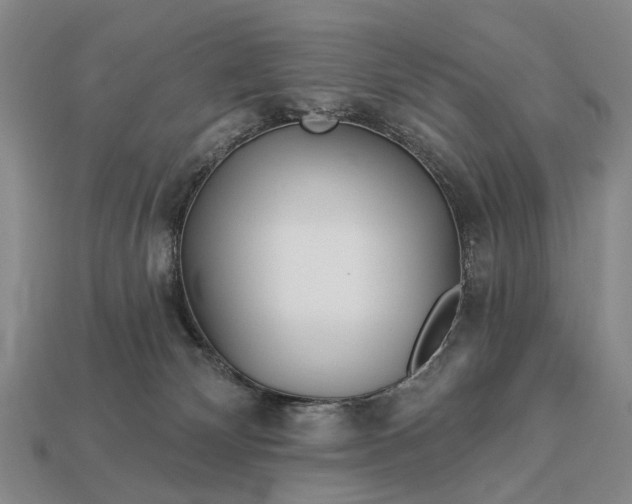 X0000112980132200909101722