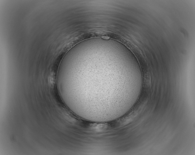 X0000112980135200909101722