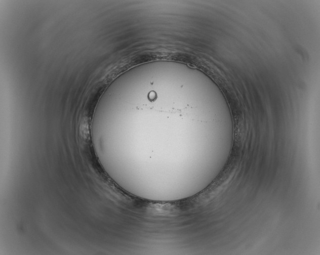 X0000112980137200909101722