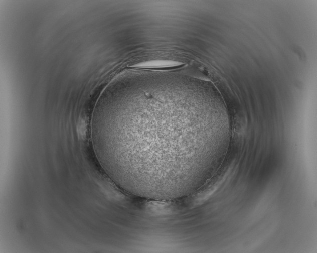 X0000112980139200909101722