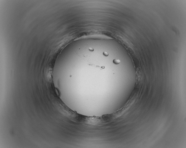 X0000112980141200909101722