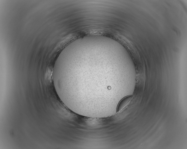 X0000112980142200909101722