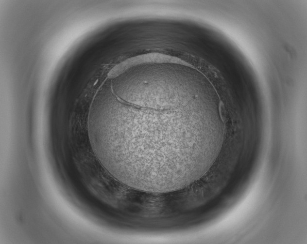 X0000112980143200909101722