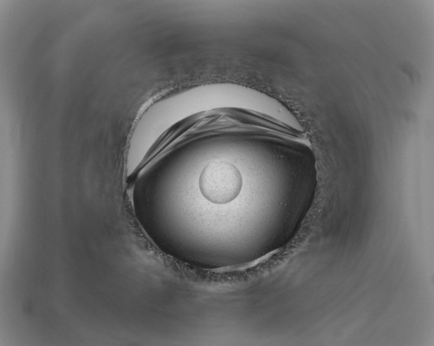 X0000112980144200909101722