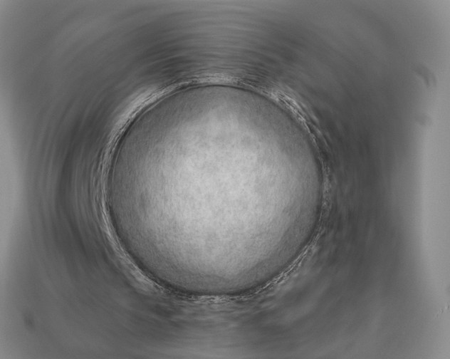 X0000112980145200909101721