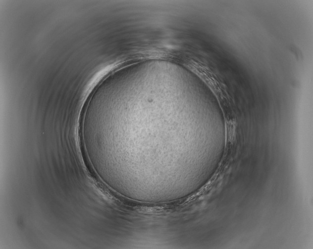 X0000112980147200909101721