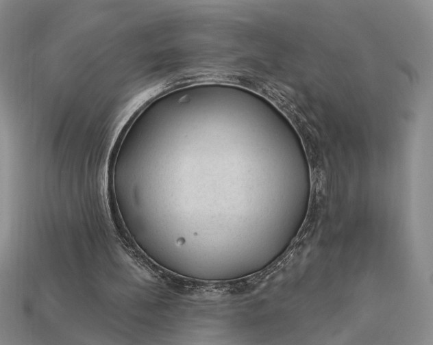 X0000112980148200909101721