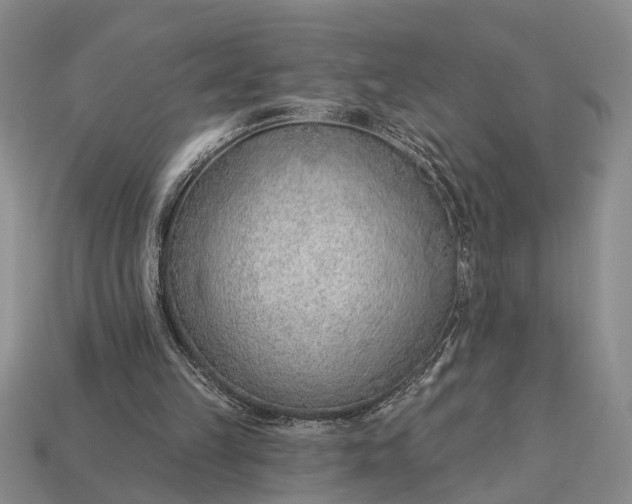 X0000112980149200909101721