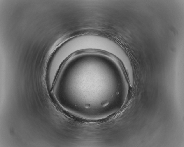 X0000112980150200909101721