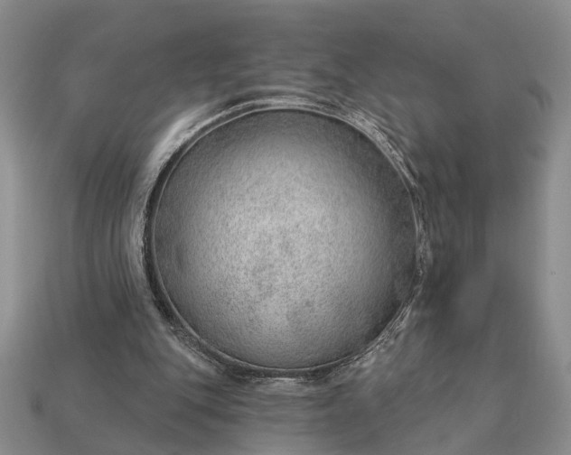 X0000112980151200909101721