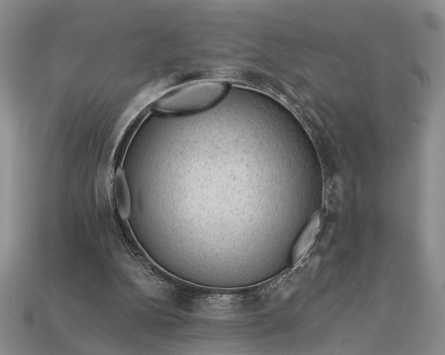 X0000112980152200909101721