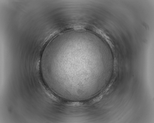 X0000112980153200909101721