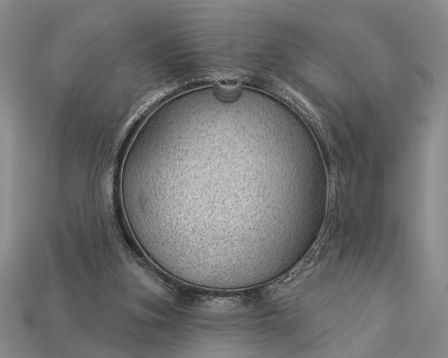 X0000112980155200909101721