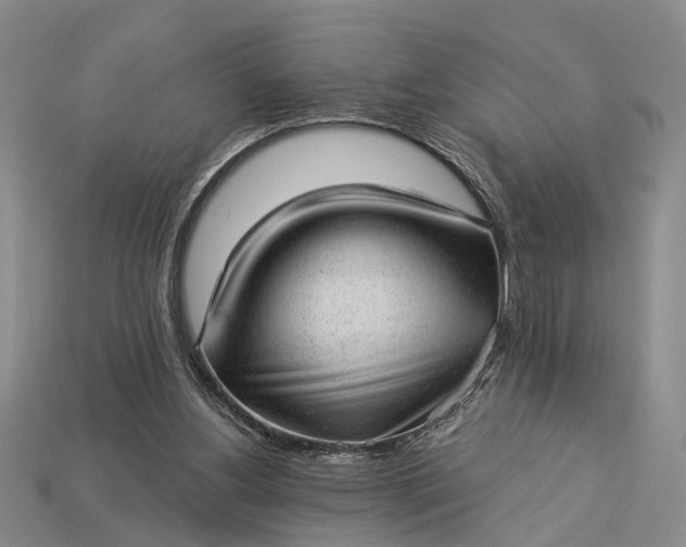 X0000112980156200909101721