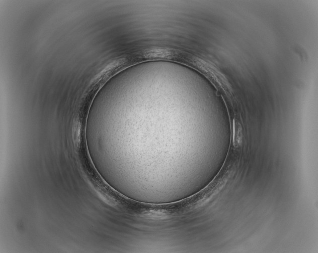 X0000112980157200909101721