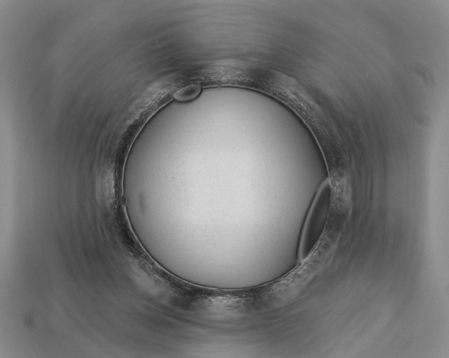 X0000112980158200909101721