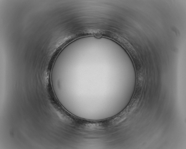 X0000112980160200909101721