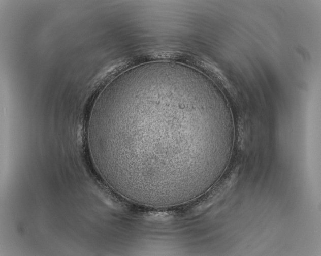 X0000112980161200909101721