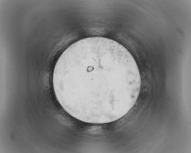 X0000112980162200909101721