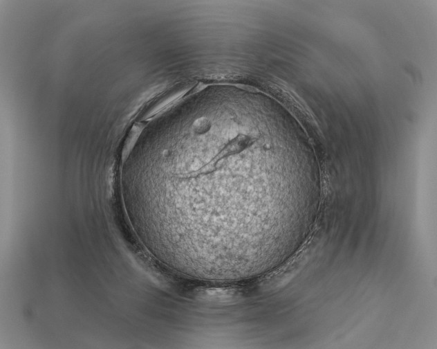 X0000112980163200909101722